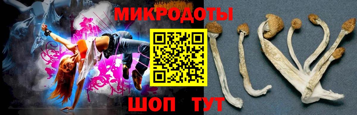 Кировск  дарнет шоп  Вход с VPN  Галлюциногенные грибы MAGIC MUSHROOMS 